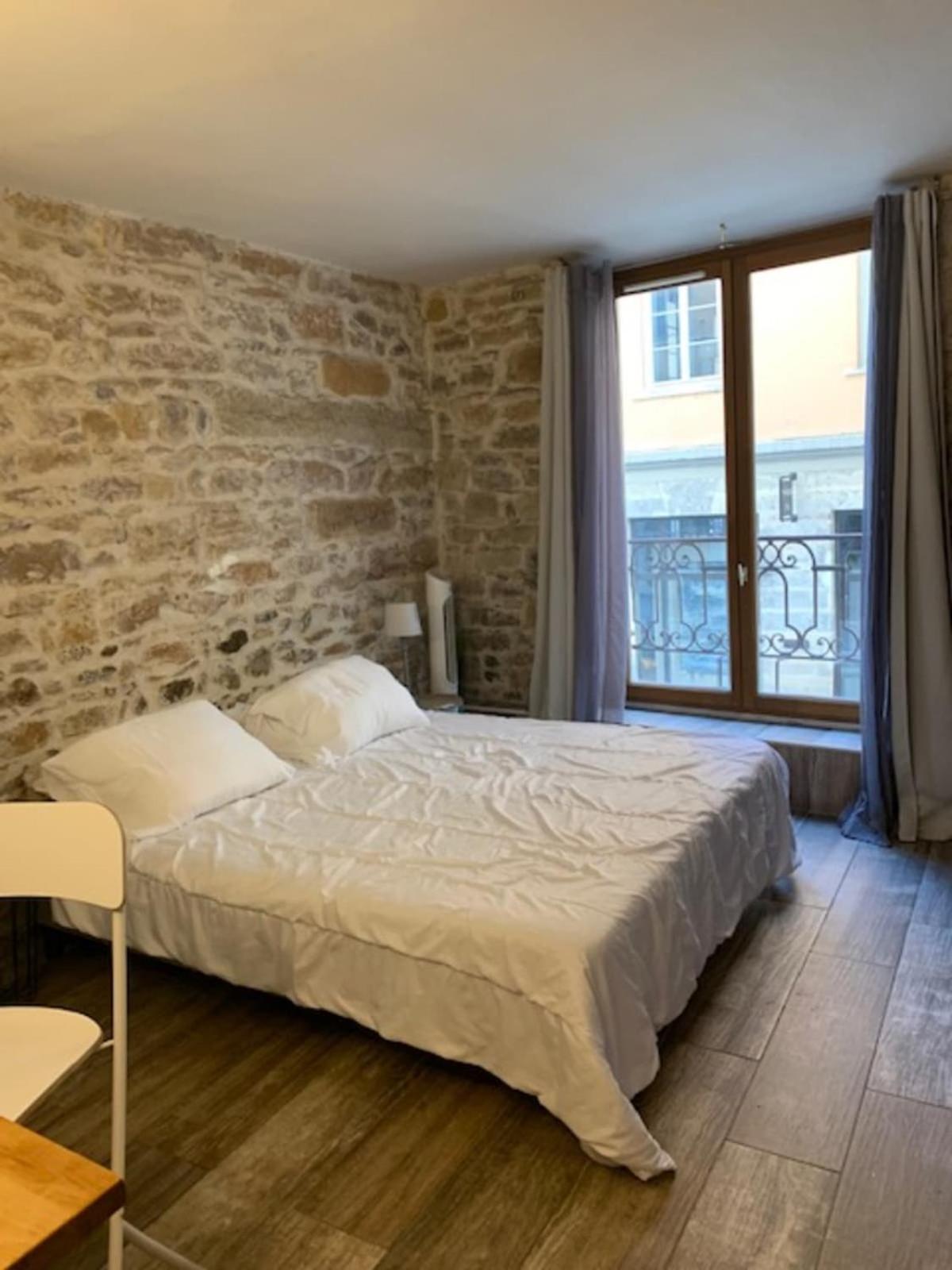 Studio With Exposed Stone Vieux Lyon Eksteriør billede