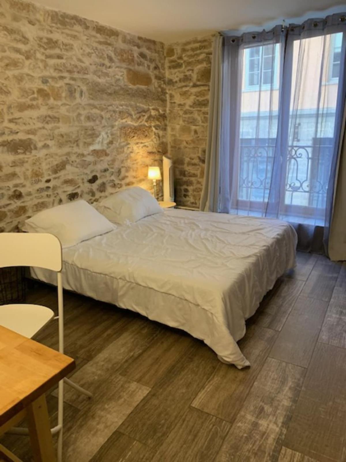 Studio With Exposed Stone Vieux Lyon Eksteriør billede
