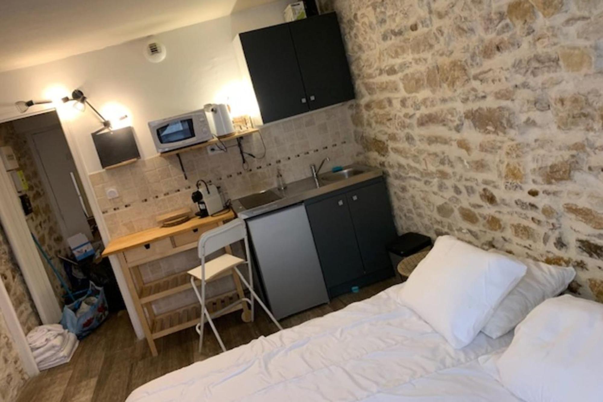 Studio With Exposed Stone Vieux Lyon Eksteriør billede
